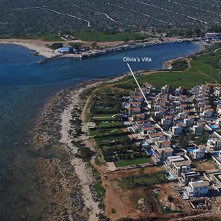 Villa Olivia's Agia Napa